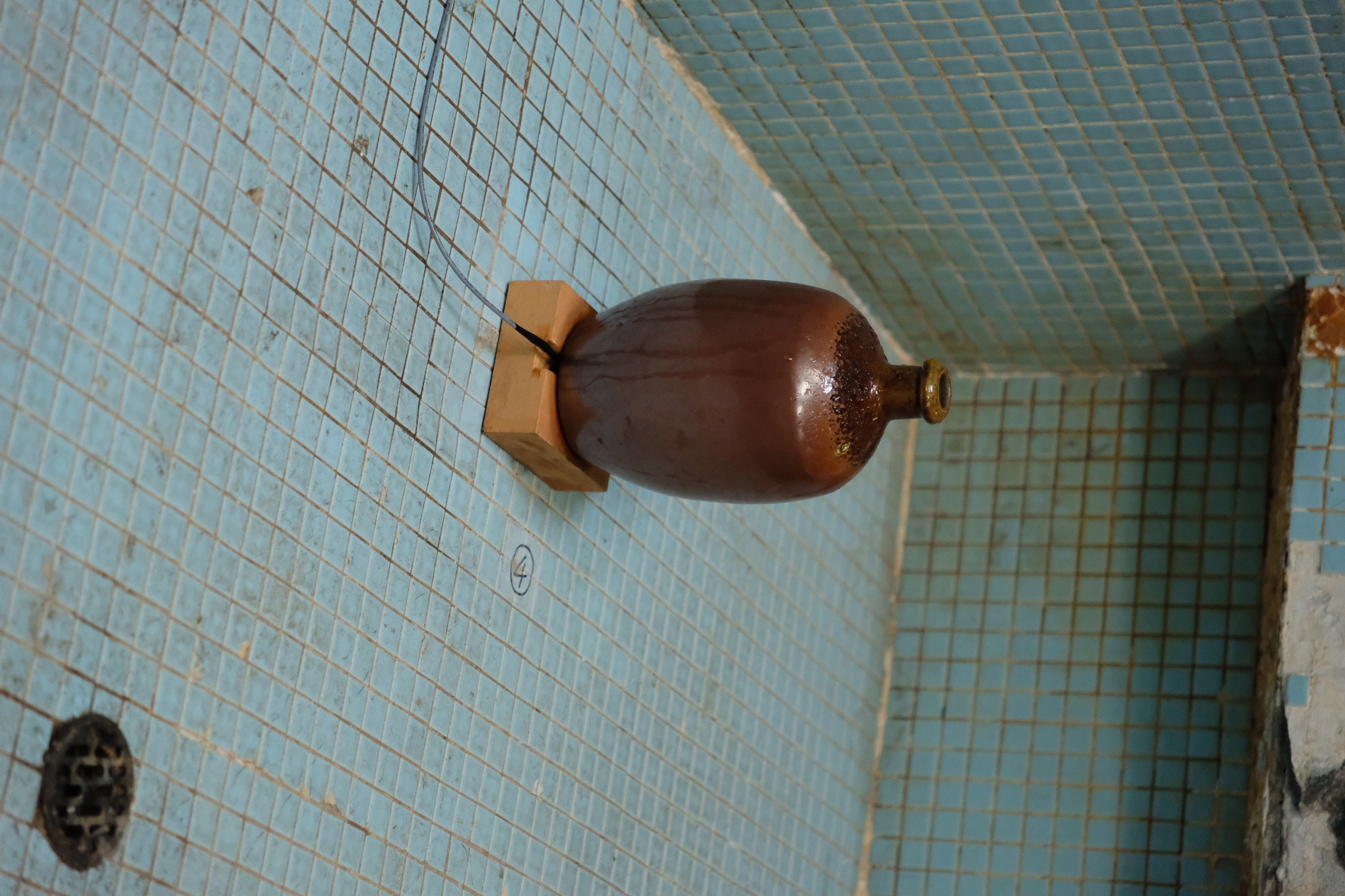head